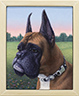 Bruce Wayne